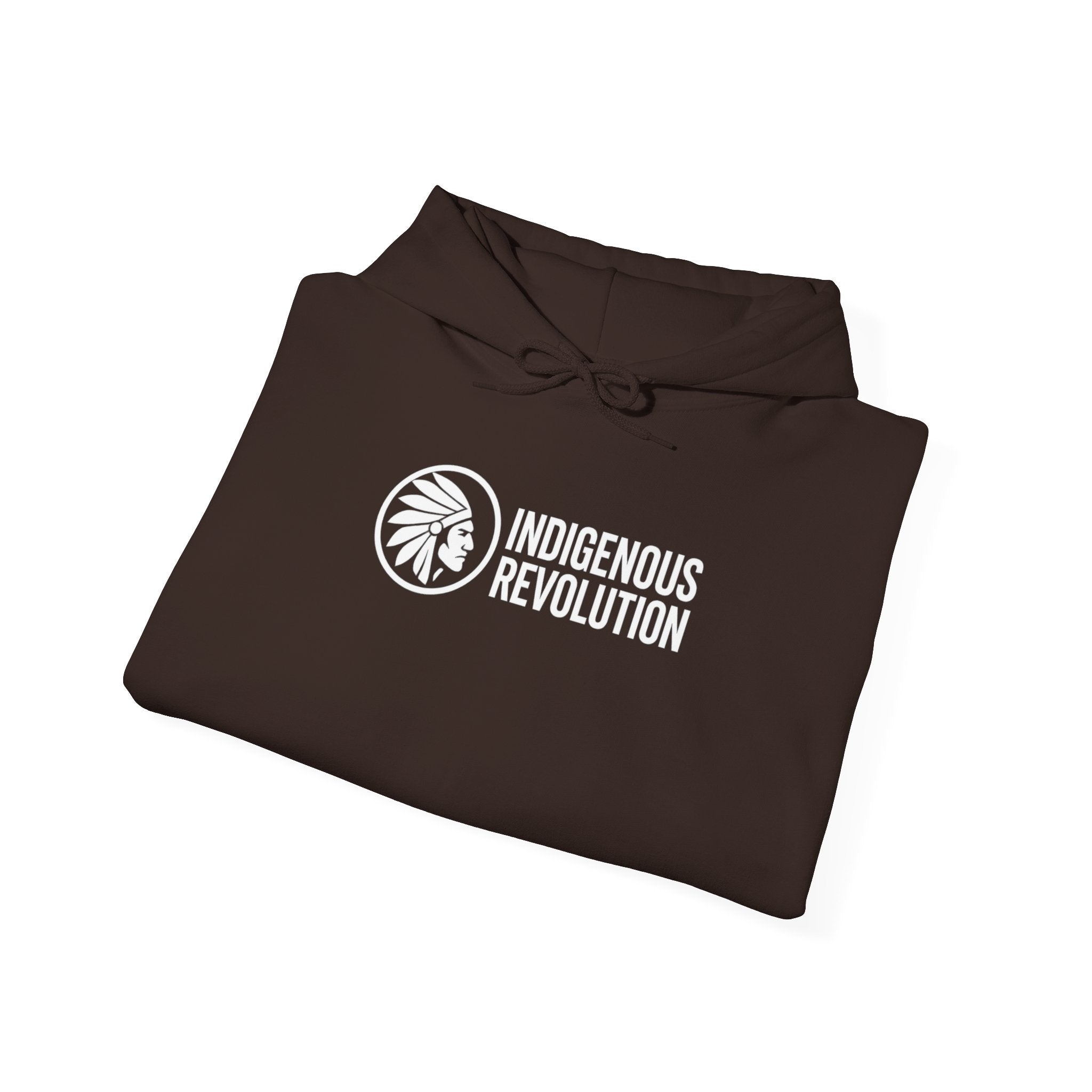 Hoodie - Indigenous Revolution Native Land Graphic Pullover